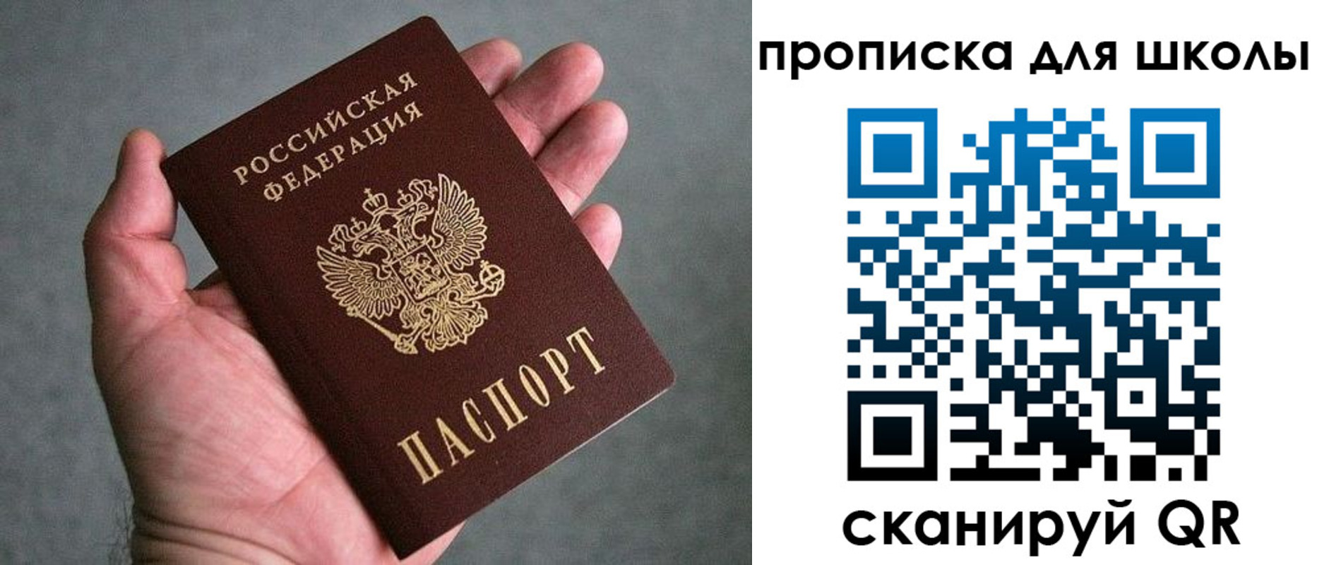 прописка для школы в Шилке